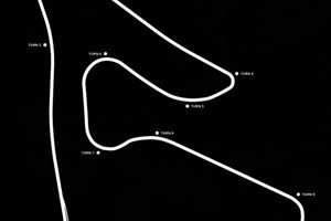 15ος Αγώνας, Αυστριακό GP (Red Bull Ring)